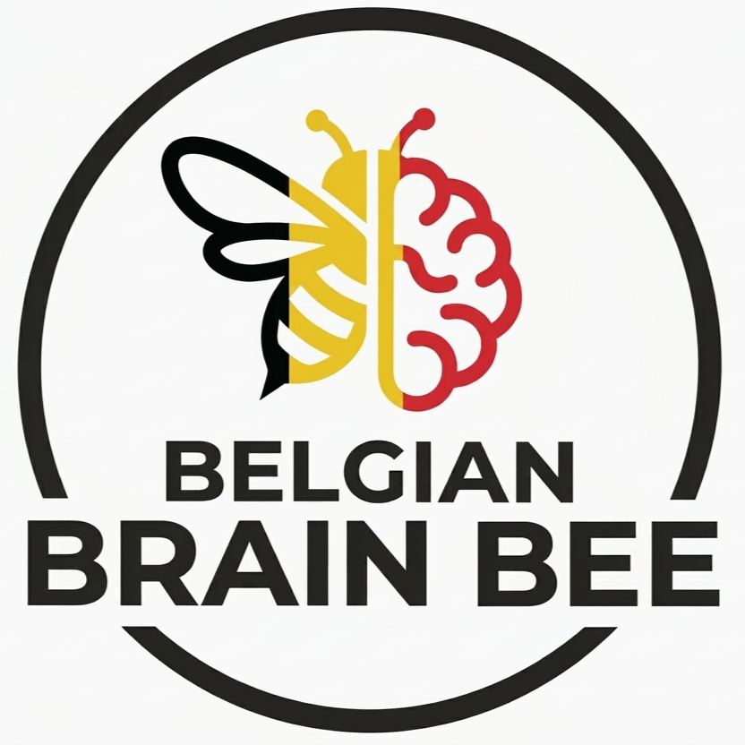 Brain Bee Belgium Logo