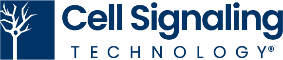 cellsignaling